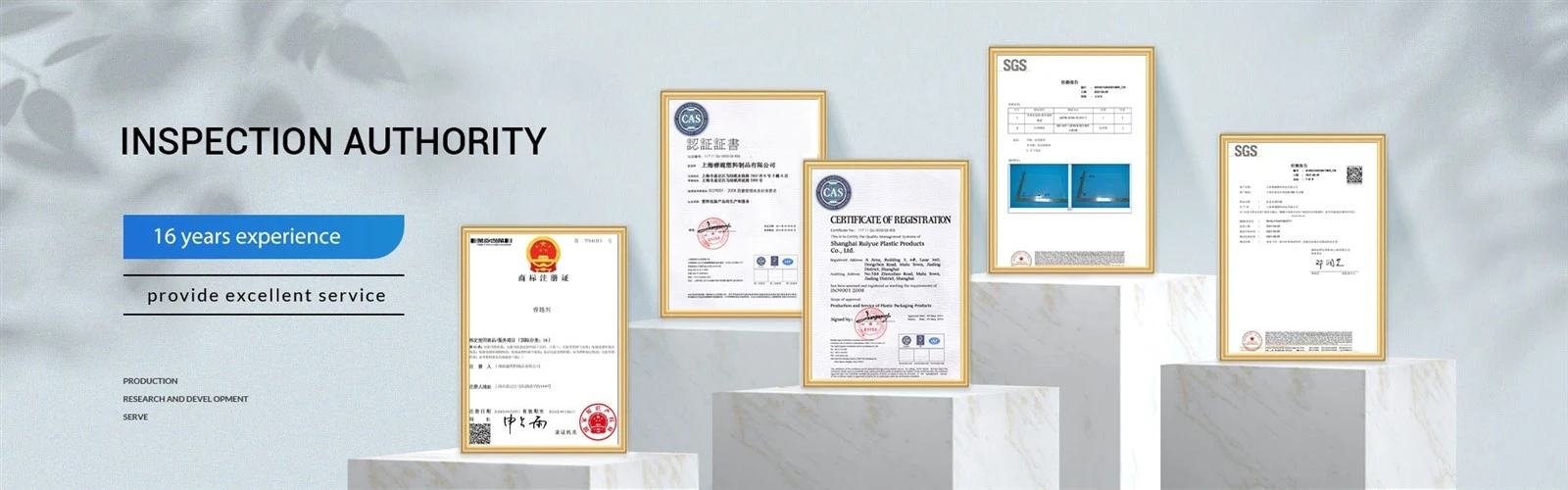 Shanghai Ruiyue Certificates Shanghai Ruiyue Certificates